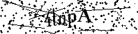 Por favor digite as letras e números abaixo