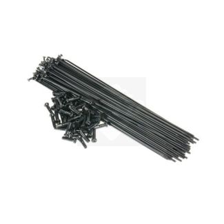 Jogo Raios Importado  Preto aro 26 255X2.0mm 